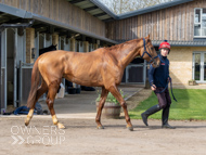 BP200326-58 - It's Hard To Know